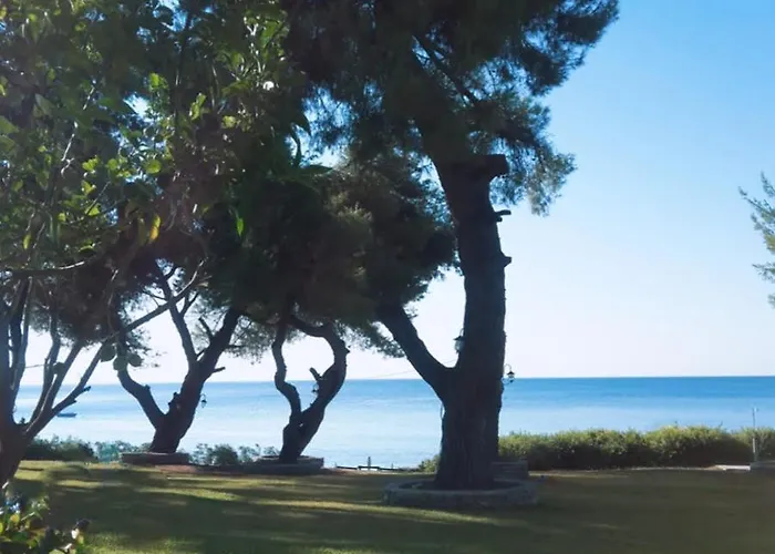 Lägenhet Dolphinian House *