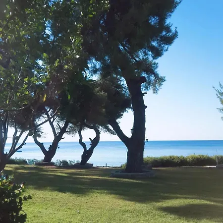 Апартаменты Dolphinian House *